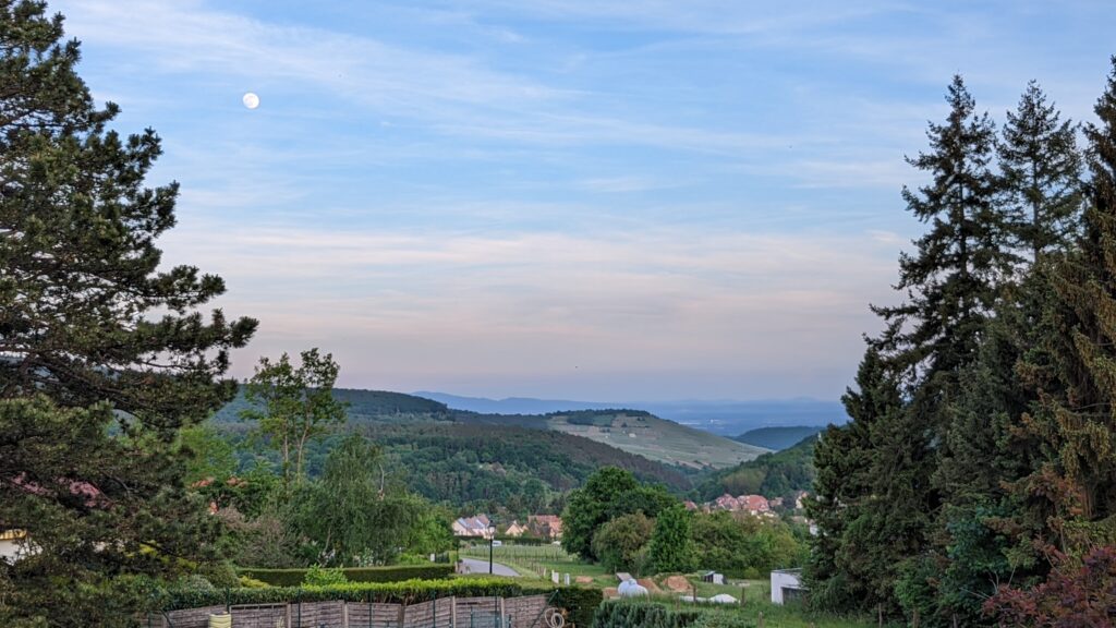 Ausblick über Hügel im Elsass in Abendstimmung