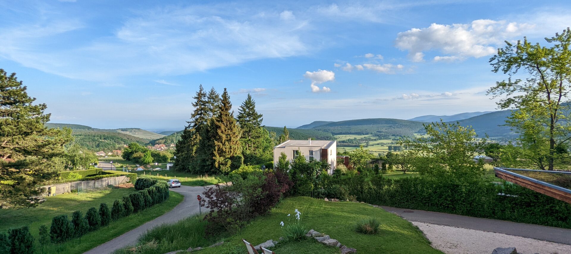Ausblick über Hügel im Elsass in Morgenstimmung